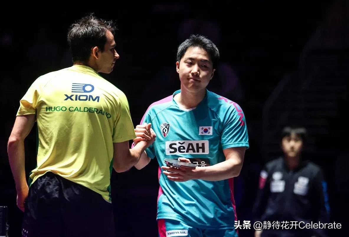 日本队翻盘波兰队，奥恰洛夫状态火热