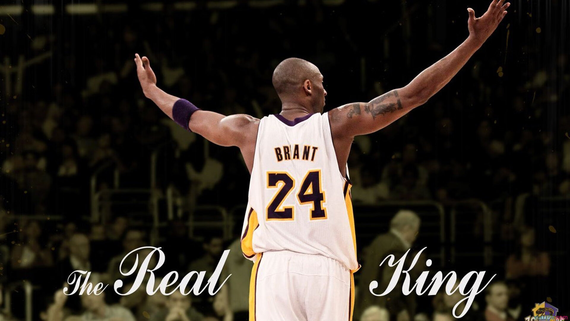 逆转与统治，穆雷的2016，从蒙特卡洛到ATP总决赛的王者之路